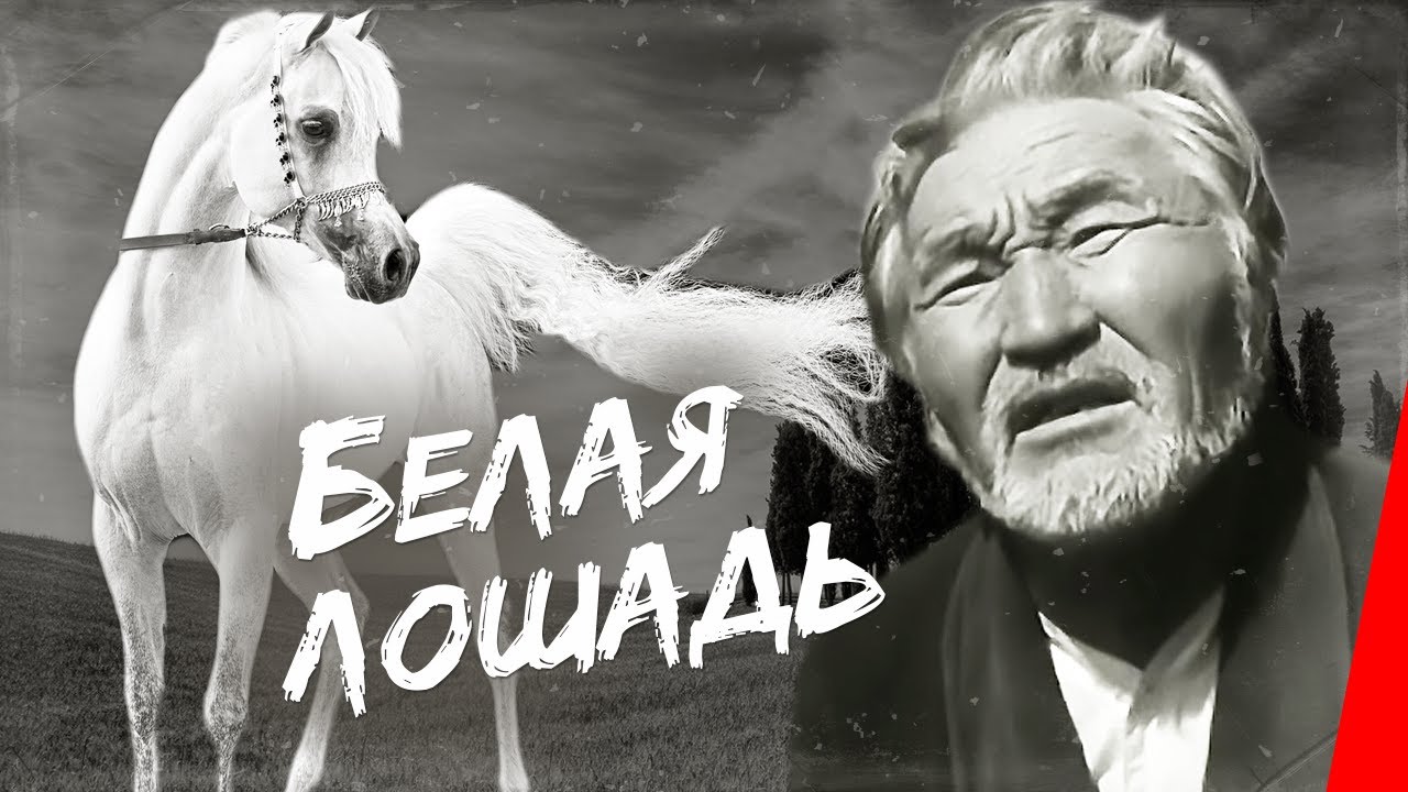 Белые кони старые